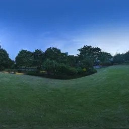Hill grass at night