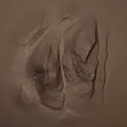 Rock Rugged Brush s2925 9