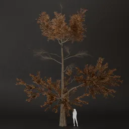 SJ-Dry Wind Pine Tree