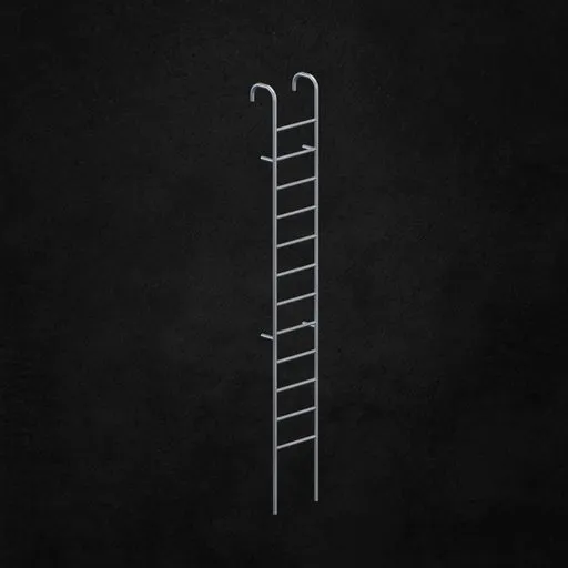 Exterior ladder
