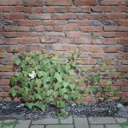 Realistic 3D ivy model for Blender, ideal for enhancing mystical, post-apocalyptic, and ancient scenes.