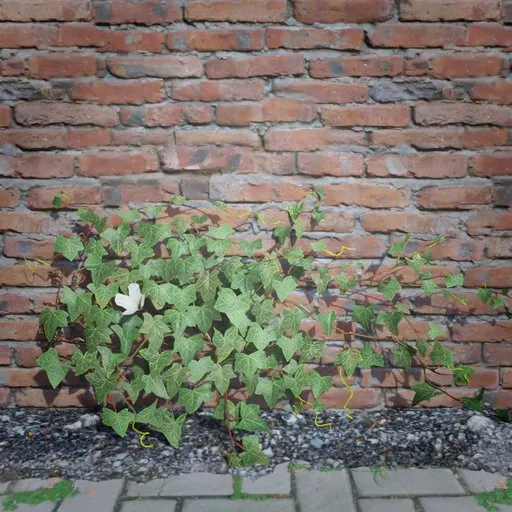 Realistic 3D ivy model for Blender, ideal for enhancing mystical, post-apocalyptic, and ancient scenes.