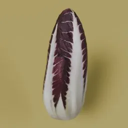 Radicchio