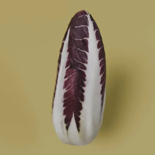 Radicchio