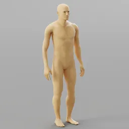Human Anatomy Reference Model