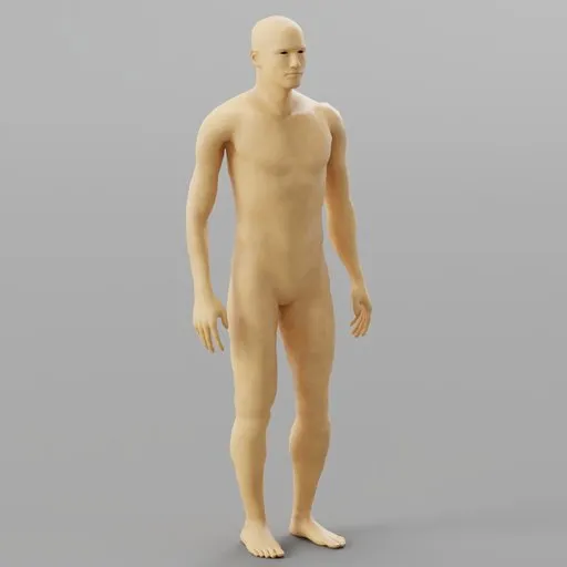 Human Anatomy Reference Model
