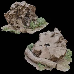 Detailed 3D model showcasing cut tree trunk roots with high-quality mesh for Blender rendering.