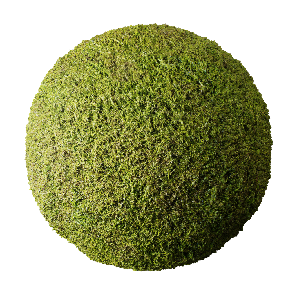 BlenderKit | Download The FREE Grass Material