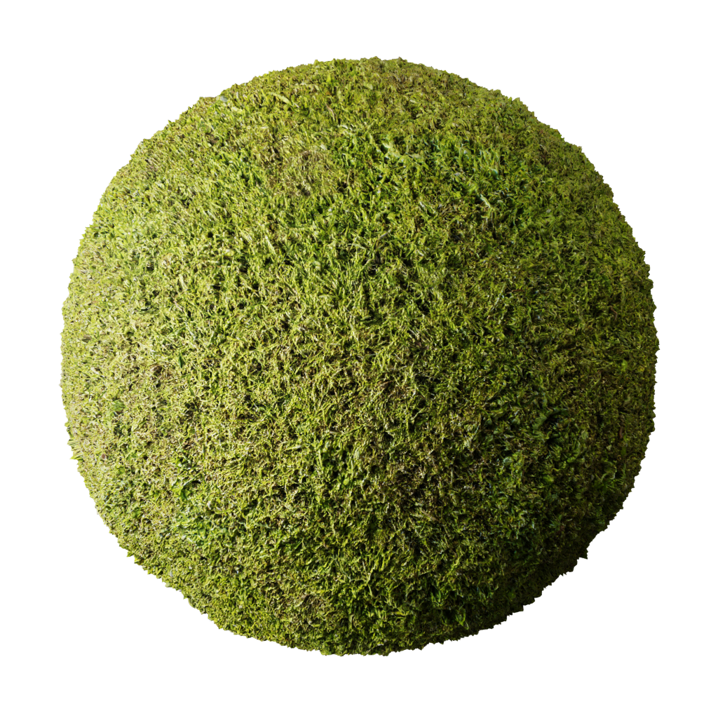 Grass FREE 3D grass materials BlenderKit