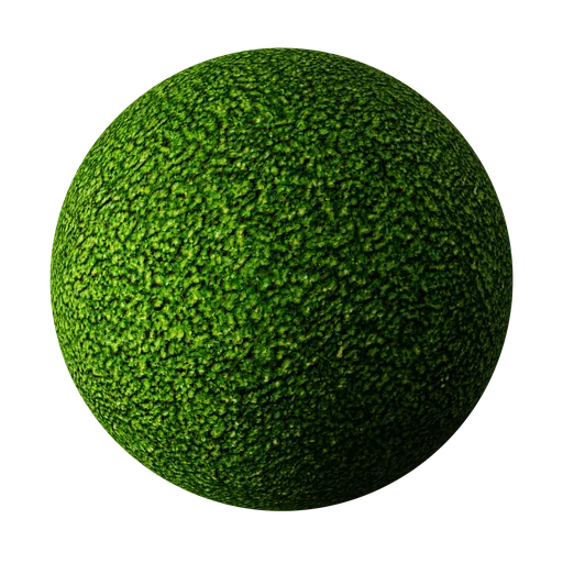 Grass 01