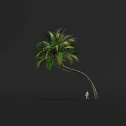 Palm Tree (Spring) - Tall Thick Curved