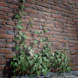 Realistic 3D ivy creeper model for Blender, ideal for adding lifelike vegetation to digital scenes and game environments.