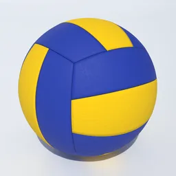 Volleyball