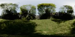 360-degree HDR lighting preview of lush green landscape for realistic scene illumination.
