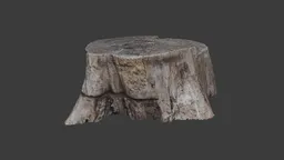 Highly detailed scanned poplar stump 3D model for Blender, perfect for natural scenes.