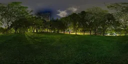 Green grass at night