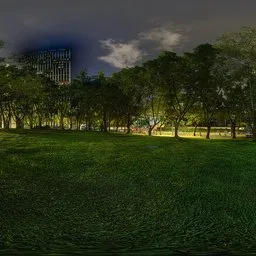 Green grass at night