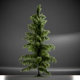 Tree Weeping Nootka Animated