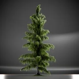 Tree Weeping Nootka Animated