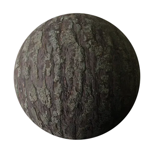High-quality textured 3D render of pine bark material suitable for Blender PBR workflow.