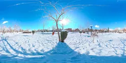 Winter Park Trees Panorama