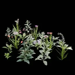 Realistic Outdoor Flowers