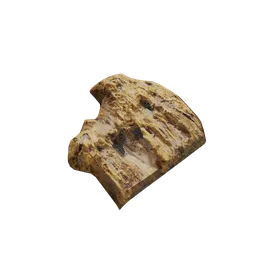 Tree bark debris