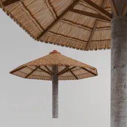 Coconut Leaf roof