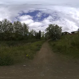 Nature Path in Neighborhood