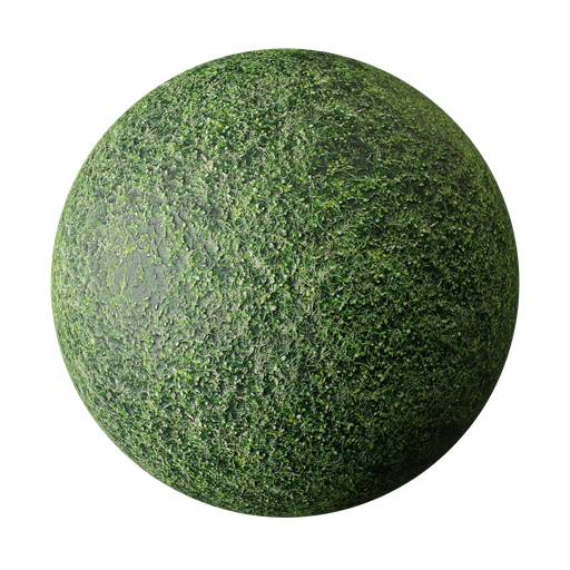 Grass Texture | FREE grass materials | BlenderKit