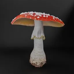 "Highly detailed Amanita Muscaria mushroom 3D model for Blender 3D, with natural looking secondary cap and lamellae created using textile simulation. White and red color scheme brings an eye-catching pop of color to nature-outdoor scenes."
