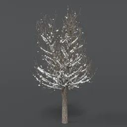 Tree With Snow