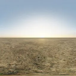 Desert Horizon Sunset