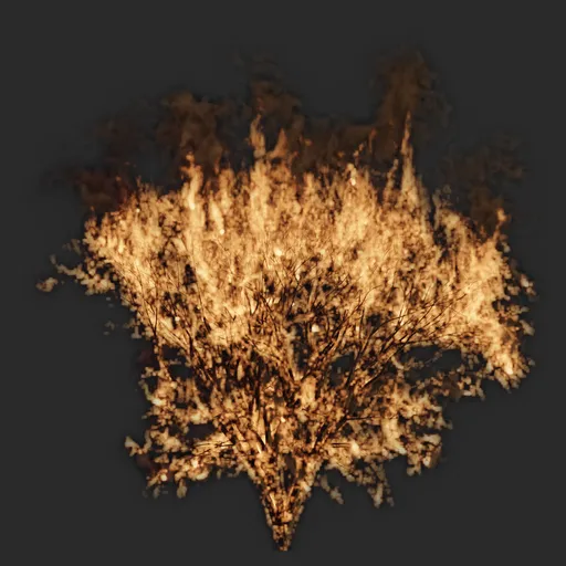 Burning tree with vdb