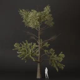 SJ-Spring Sunbeam Tree