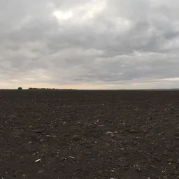 Overcast Soil