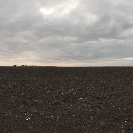 Overcast Soil
