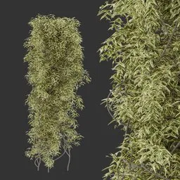 Simple Column Climber Plant