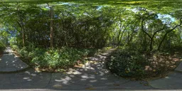 Sunshine Green Forest