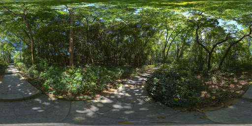Sunshine Green Forest