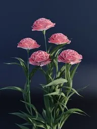 Detailed 3D carnation flowers model with realistic textures created in Blender using geometry nodes.