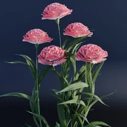 "3D model of Carnations, a nature outdoor scene in Blender 3D. Featuring pink flowers in a vase on a table, this artwork showcases giant carnation flower heads created with Geometry nodes. Rendered in Unreal Engine 5 and inspired by Ditlev Blunck, this popular model incorporates raytracing and thin depth of field to add a touch of artistic realism."