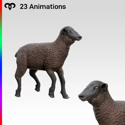 Baby Sheep Animated