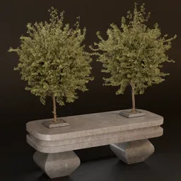 SJ- Twin Tree Harmony