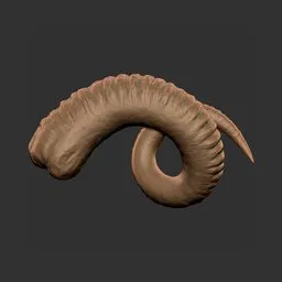 Ram Spiral Horn