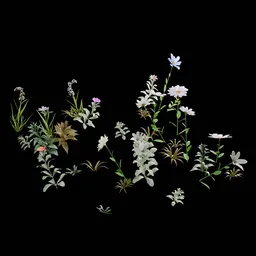 Realistic Outdoor Flowers