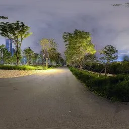 Night road
