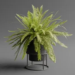 Potted Boston Fern in Modern Metal Stand