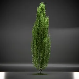 Tree Columnar European Animated