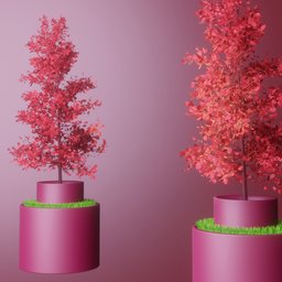 Potted red leaved tree and grass